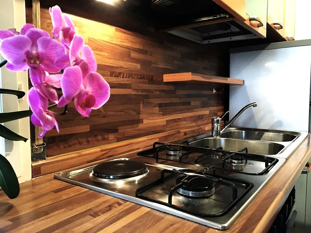 Dolomiti Apartment Pieve di Cadore Italy